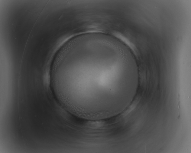 X0000101671415200807101350