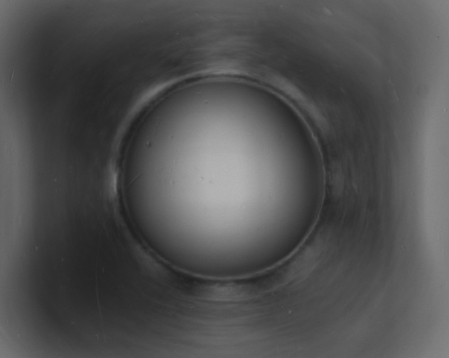 X0000101671416200807101350