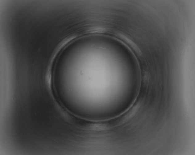 X0000101671418200807101350