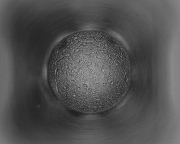 X0000101671419200807101350