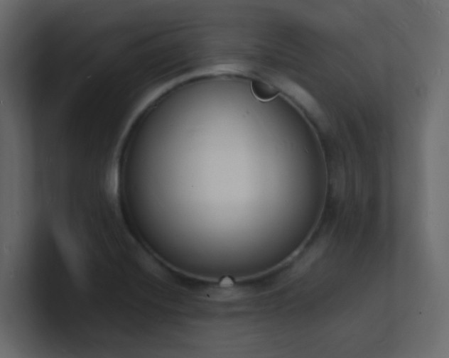X0000101671420200807101350