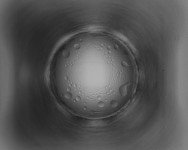 X0000101671421200807101350
