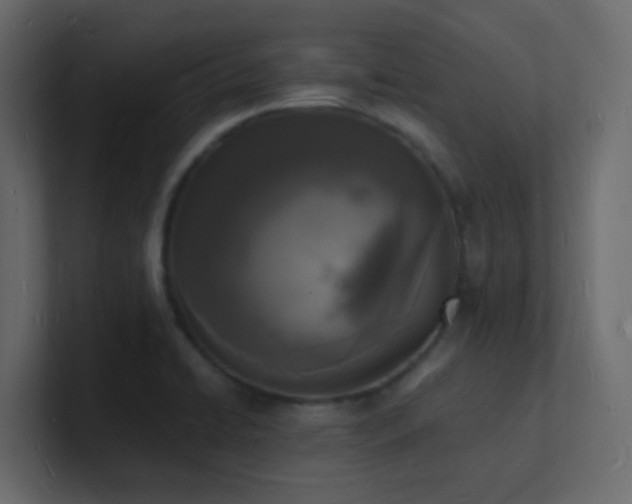X0000101671422200807101350