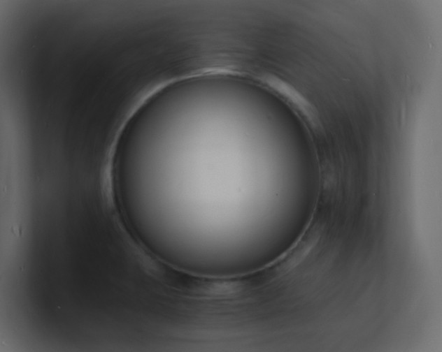 X0000101671423200807101350