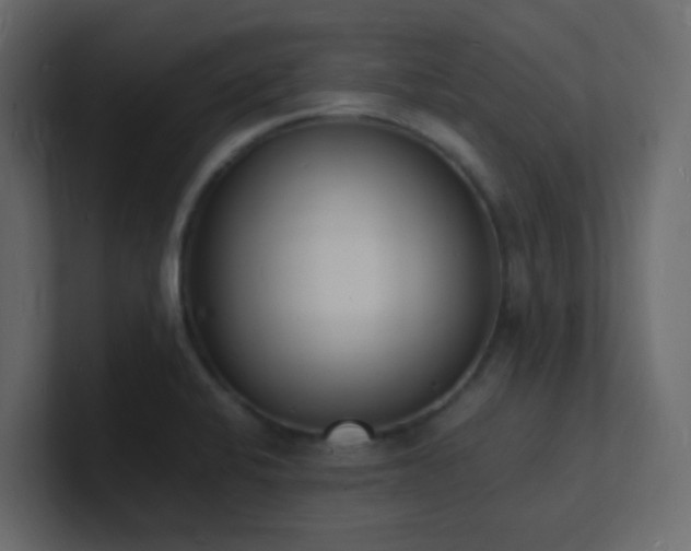 X0000101671424200807101350