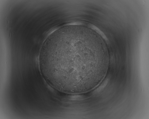 X0000101671425200807101350