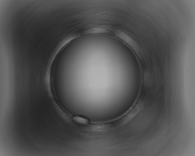 X0000101671426200807101350