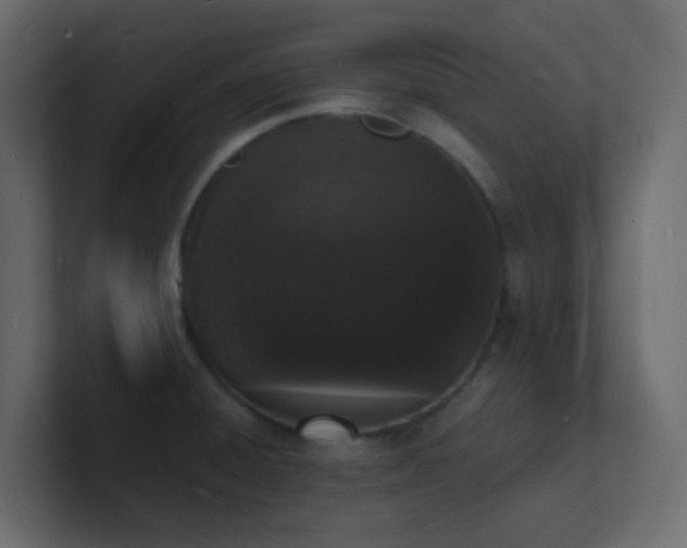 X0000101671428200807101350