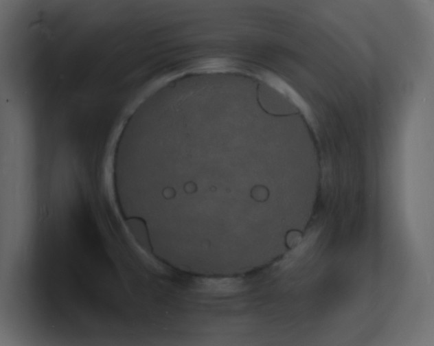 X0000101671429200807101350