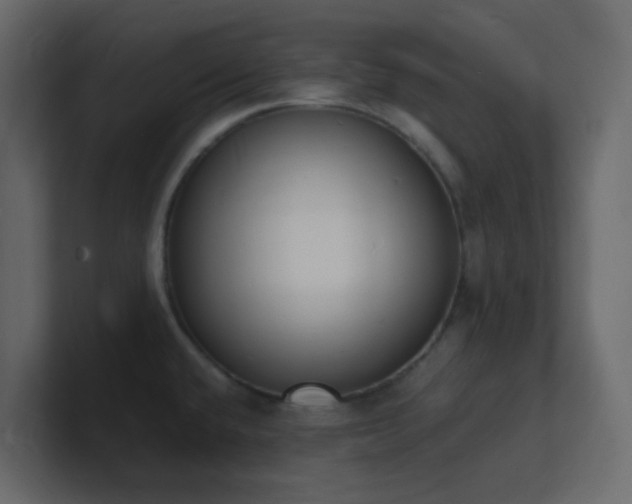 X0000101671432200807101350