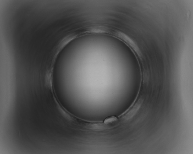 X0000101671433200807101350