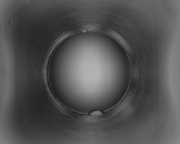 X0000101671434200807101350