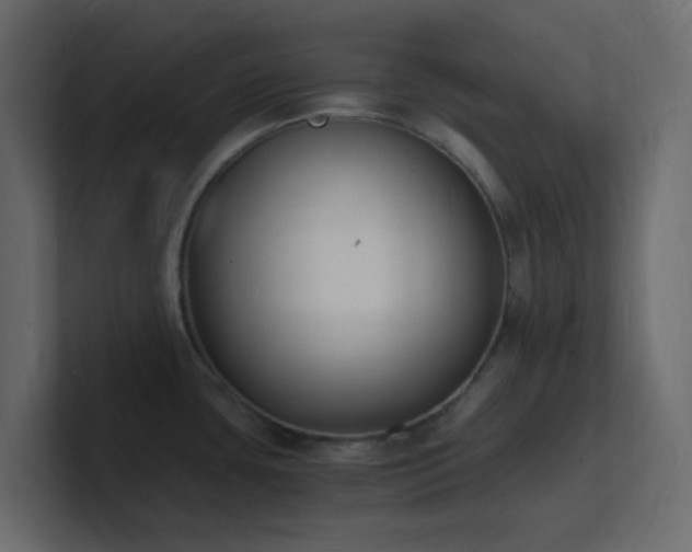 X0000101671435200807101350