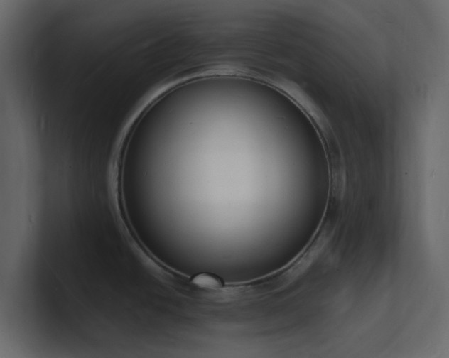 X0000101671438200807101350
