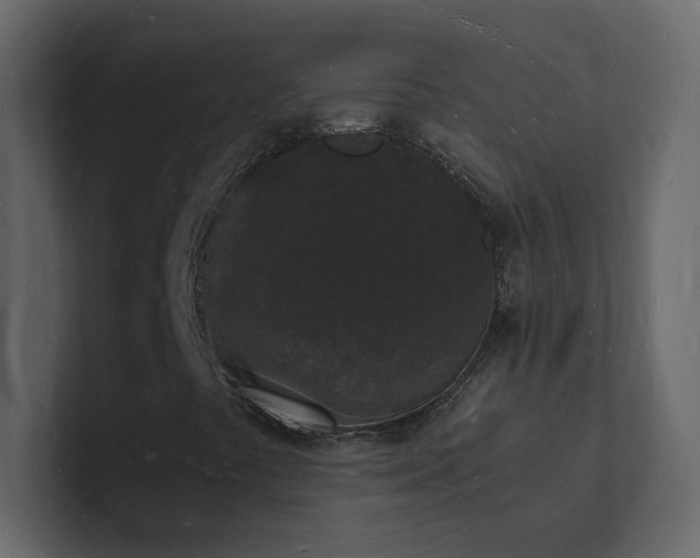 X0000101671441200807101350
