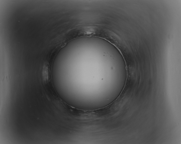 X0000101671442200807101350
