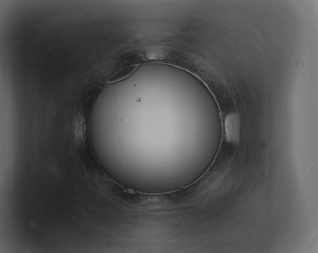 X0000101671443200807101350
