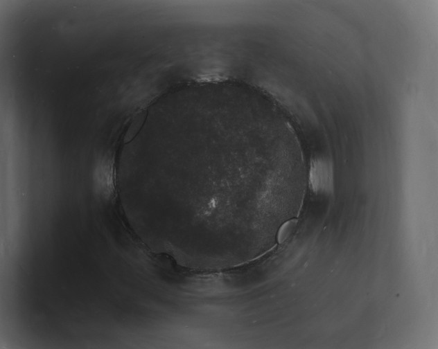 X0000101671444200807101350