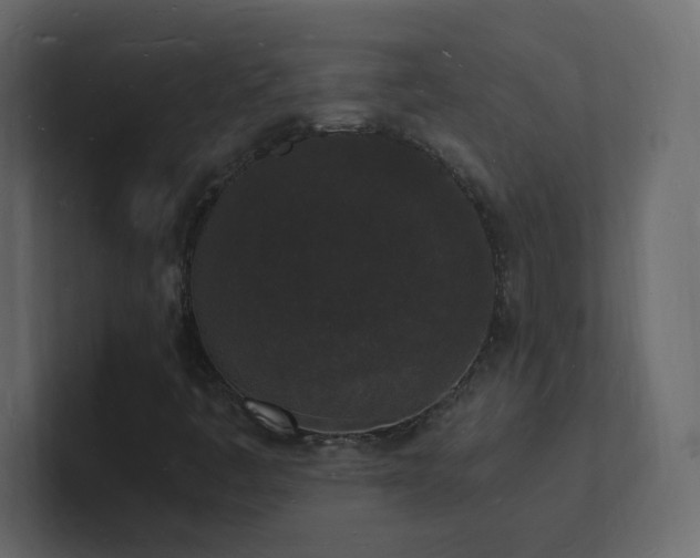 X0000101671445200807101350