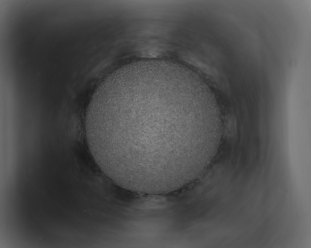 X0000101671446200807101350