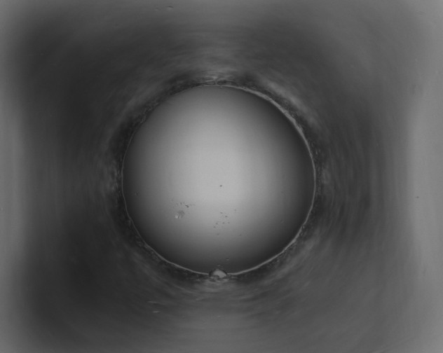 X0000101671447200807101350