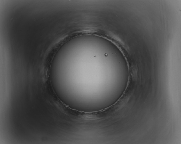 X0000101671448200807101350