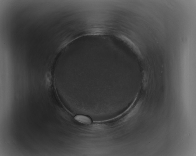 X0000101671449200807101350