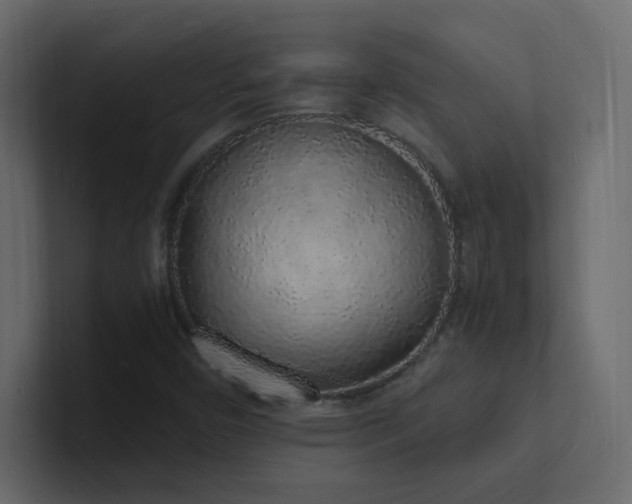 X0000101671450200807101350