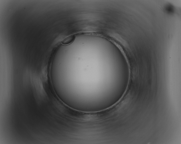 X0000101671451200807101350