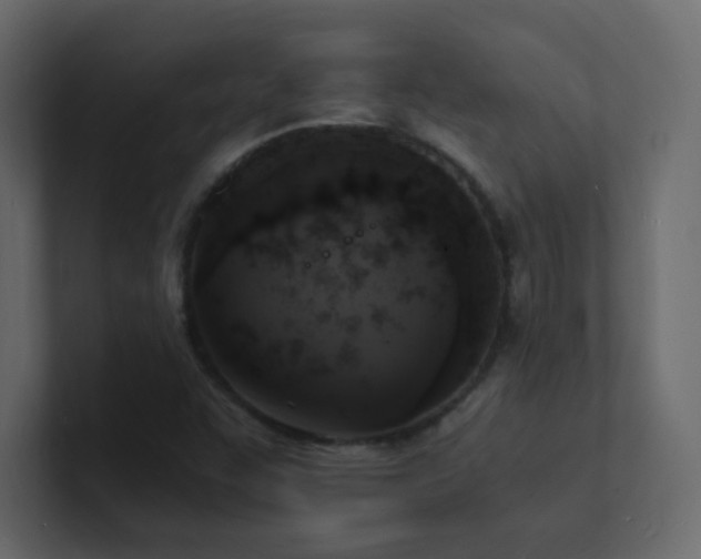 X0000101671455200807101350