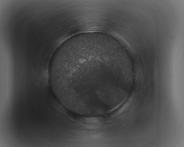 X0000101671457200807101350