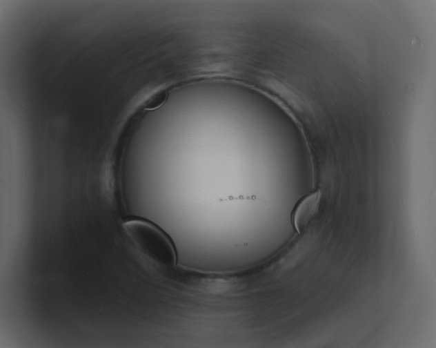 X0000101671458200807101350