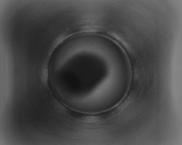 X0000101671459200807101350