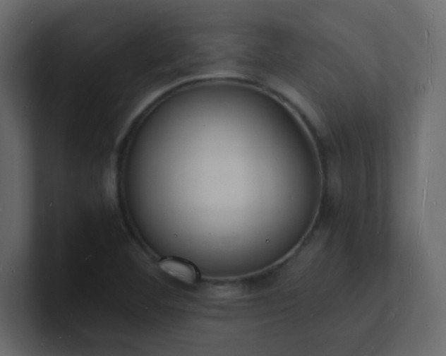 X0000101671460200807101350