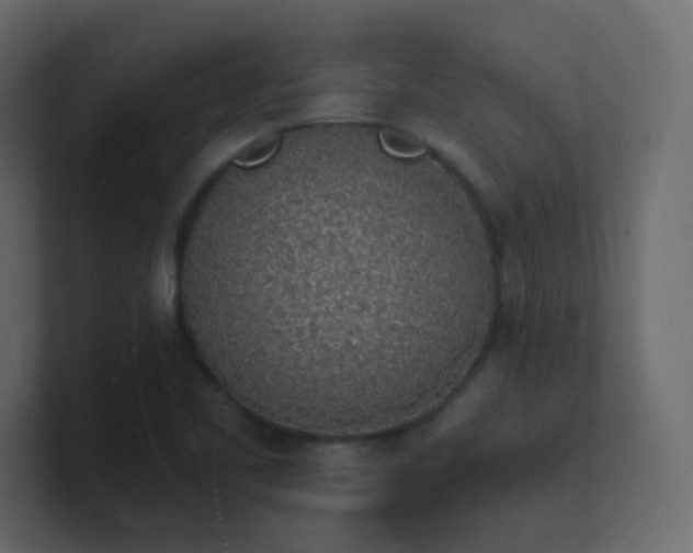 X0000101671461200807101350