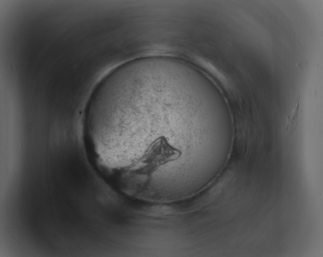 X0000101671463200807101350