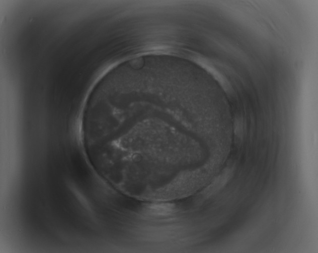 X0000101671466200807101349
