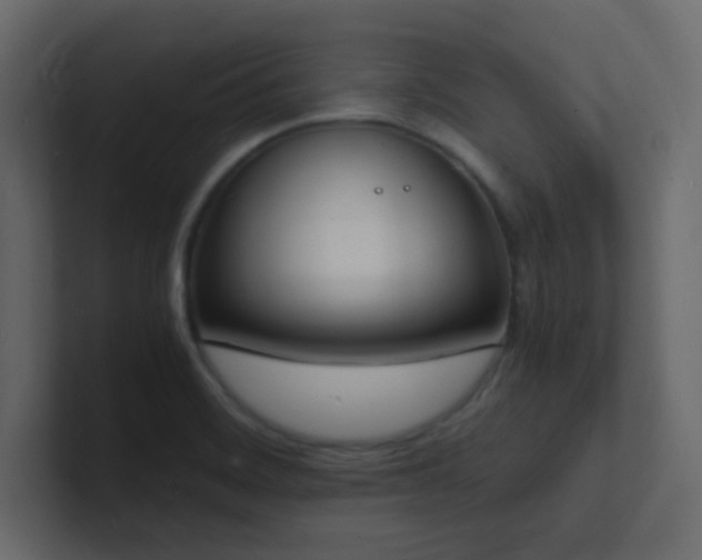 X0000101671468200807101349