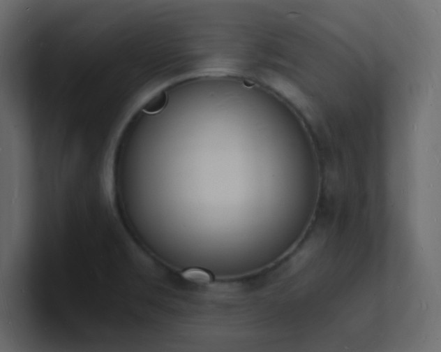 X0000101671469200807101349