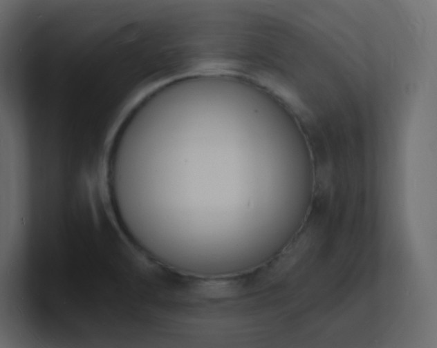 X0000101671470200807101349