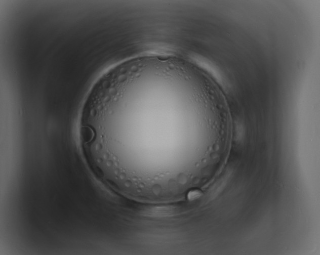 X0000101671471200807101349