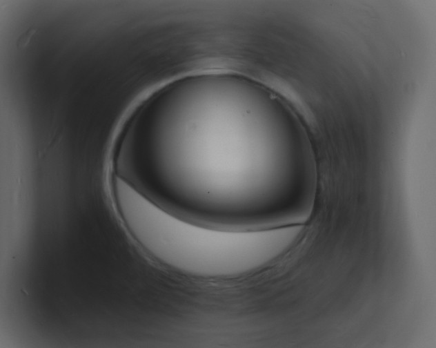X0000101671472200807101349
