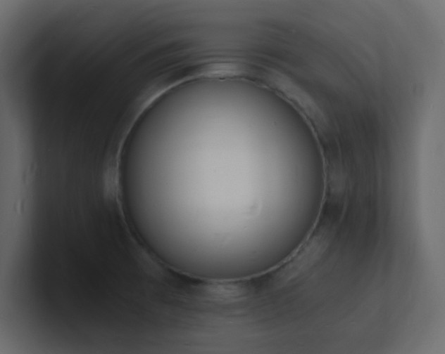 X0000101671473200807101349