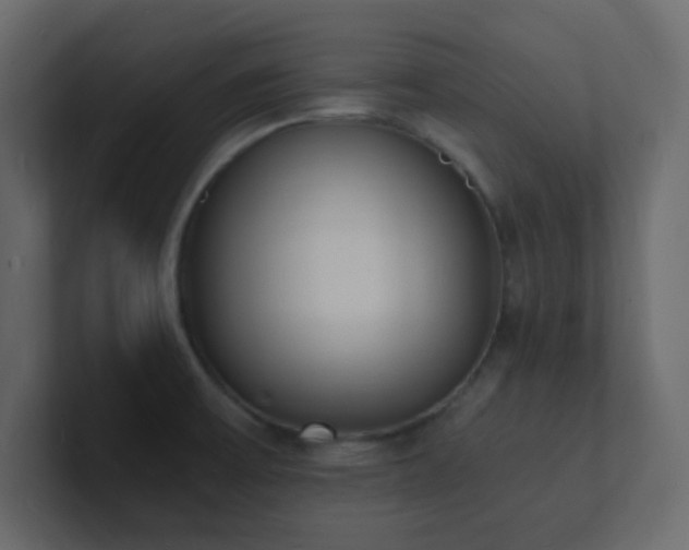 X0000101671475200807101349