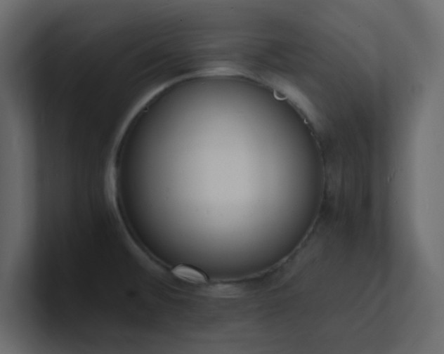 X0000101671476200807101349