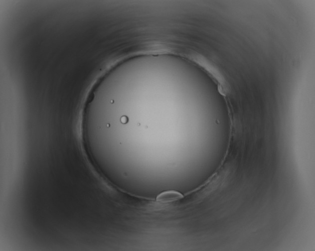 X0000101671477200807101349