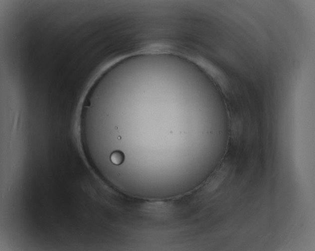 X0000101671478200807101349