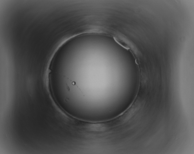 X0000101671479200807101349
