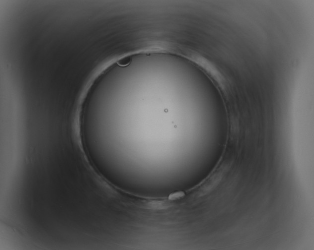 X0000101671480200807101349