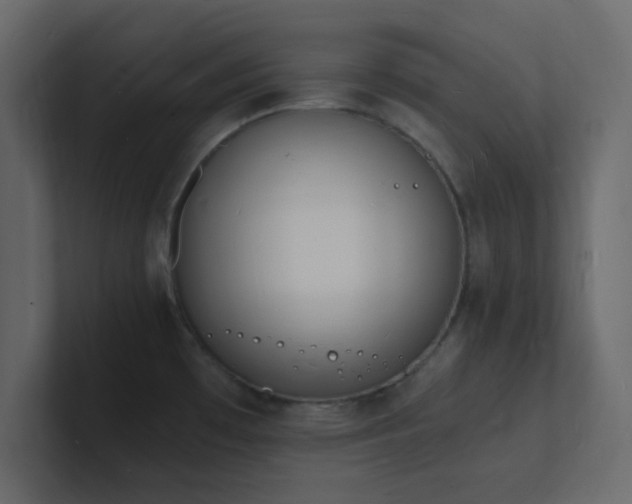X0000101671481200807101349